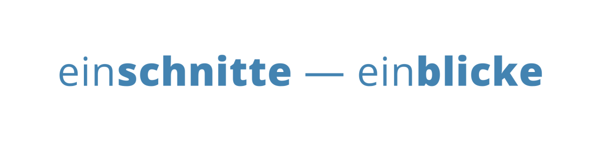 Einschnitte Einblicke Logo Banner.png
