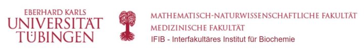 Interfakultäres Institut für Biochemie Interfakultäres Institut für Biochemie
