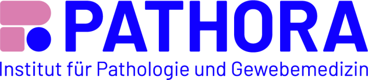 Pathora Logo.png