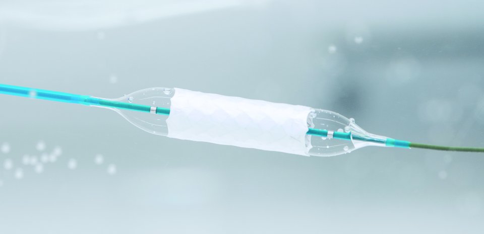 Stent in a water bath.