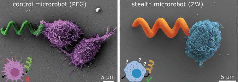 Presse_Max-Planck-Institut_Microrobots_2