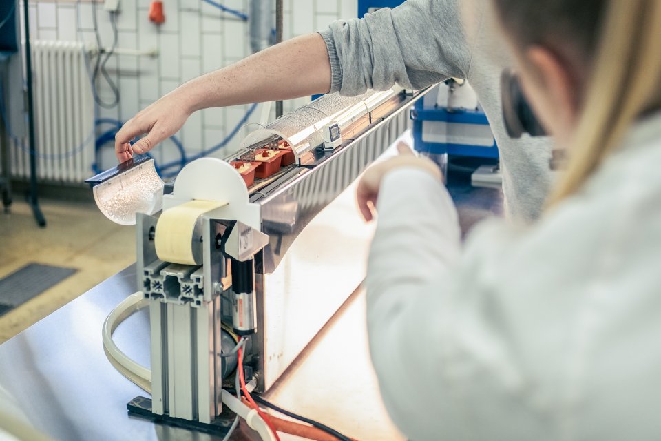 Two people fill baking molds with batterImage source: University of Hohenheim / Oliver Reuther