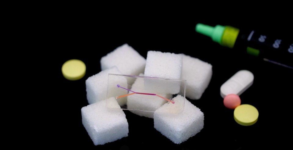 csm_Organ-on-Chip_Pankreas_Diabetes_Foto_Silke_Riegger_kl_a6ee75858c.jpg