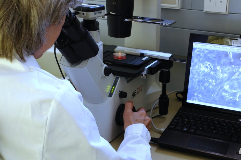 A person sits in front of a microscope and looks at the sample in front of them