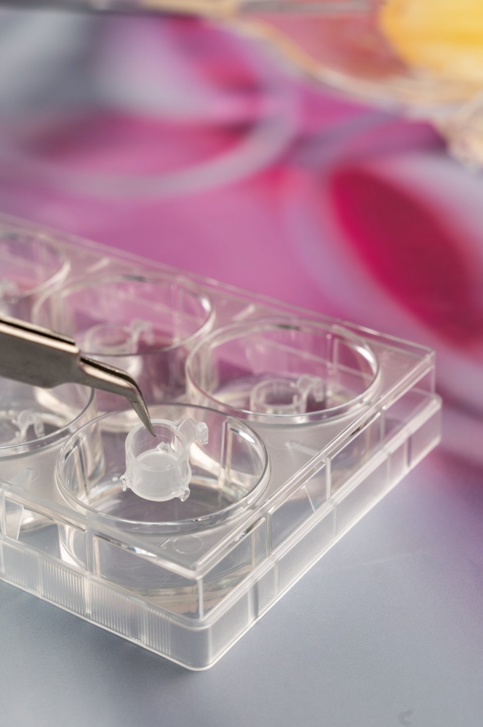 IGB-In-vitro-Reporterhaut-299-2.jpg