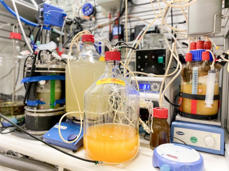 csm_24-09-12_DE_Trends_Biotech_Protein_Vitamin_2_9f92a9acee.jpg