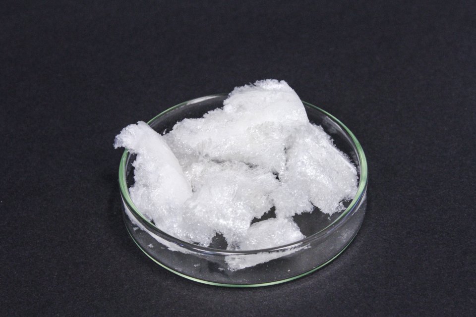 260615_Methacrylierte-Gelatine-07.jpg