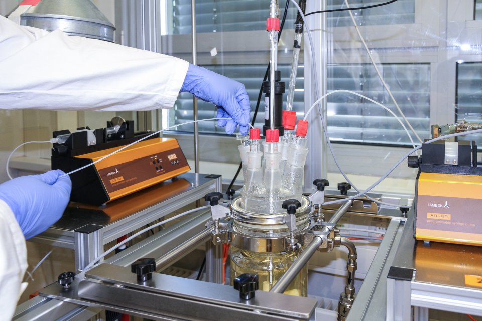 IGB_Skalierung-methacrylierte-Gelatine-30.jpg