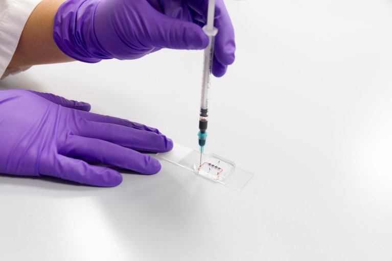 A person wearing a purple-colored pair of gloves inserts the thin cannula of a syringe into the organ-on-a-chip system.