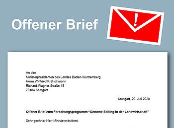 Darstellung des Offenen Briefes