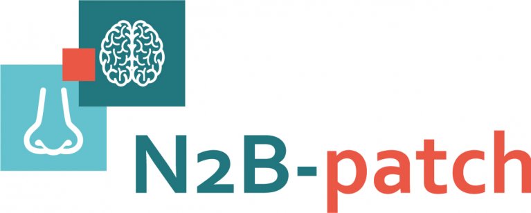 N2b Patch