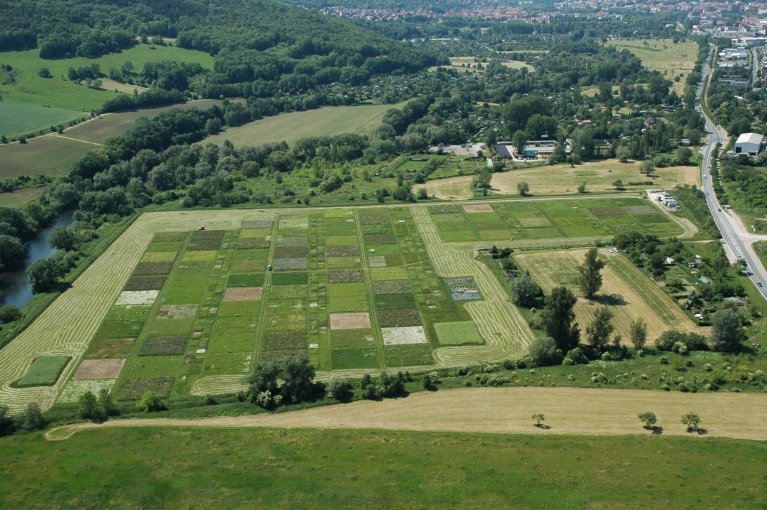 Grüne Landschaft mit Feldern, Fluss, Bäumen und Häuser im Hintergrund