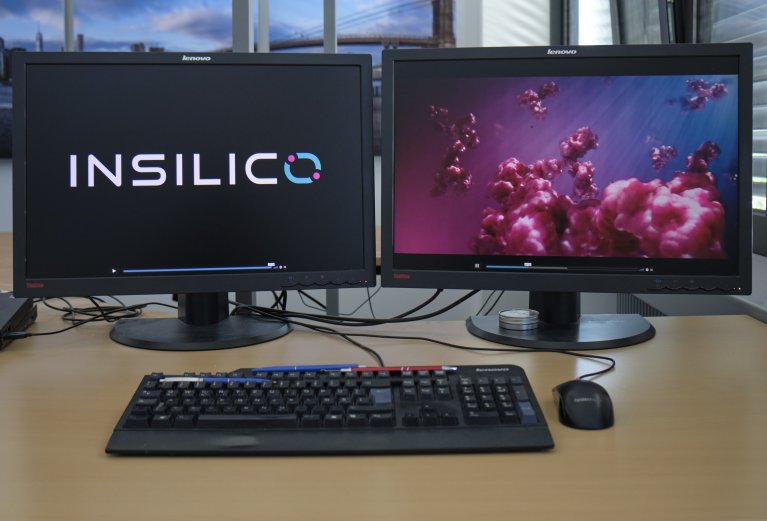 Two PC-Screens with a Keyboard on a desk