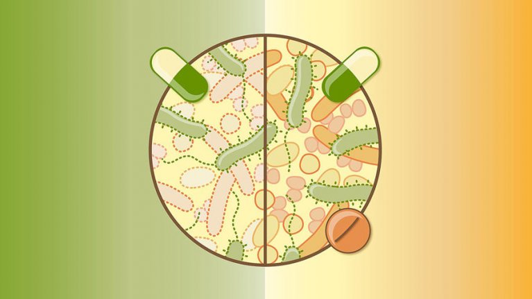 Neuer Ansatz gegen Nebenwirkungen von Antibiotika 1