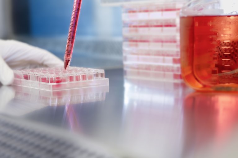 Eine Person füllt im Labor auf einer Sterilbank eine rote Flüssigkeit in eine 96-Well Platte.