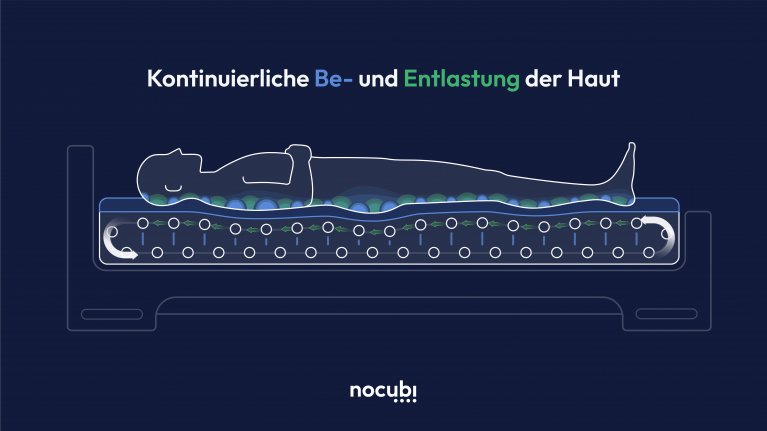 [DE Copy] Nocubi Animaltion Still