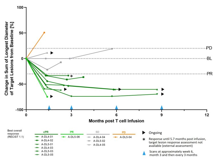 immatics Phase-1b-Zelltherapie-Studie (2)