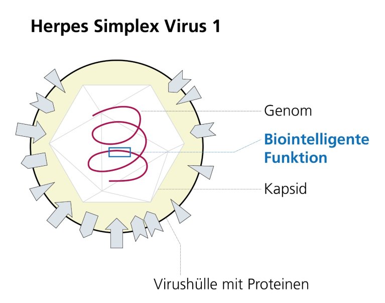 IGB-virus-engineering-ohne-phage_0.jpg