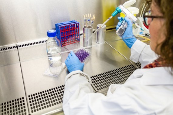 Bild einer Frau, die im Labor an einem Tisch (Reinraum) arbeitet. Mit einem Plaque-Assay prüft Sie an Zellkulturen, ob Viren infektiös sind.