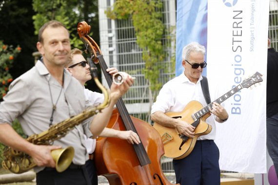 Drei Musiker musizieren.