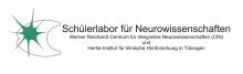 Schülerlabor Neurowissenschaft